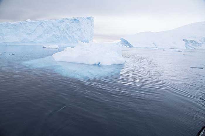 Antarctic Scene.