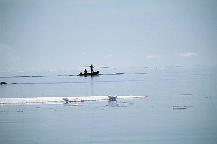 Inuit life in the Arctic.