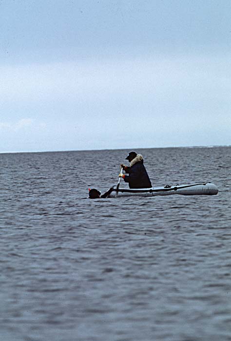 Inuit life in the Arctic.
