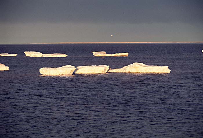 Arctic scenics. Nunavut to Norway.