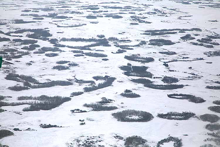 Arctic landscape, close to the edge of the tree line.