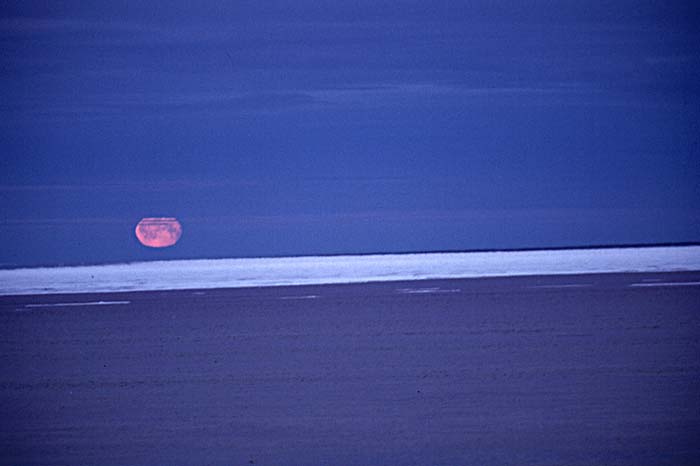 Arctic scenics. Nunavut to Norway.