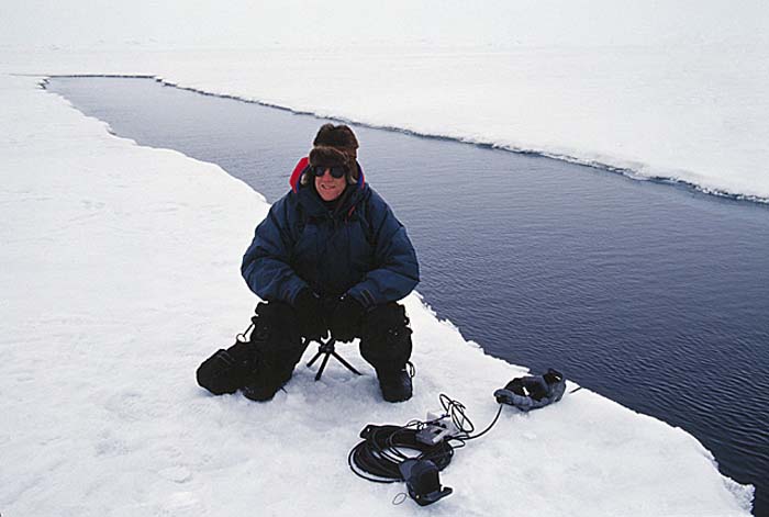 Arctic scenics. Nunavut to Norway.