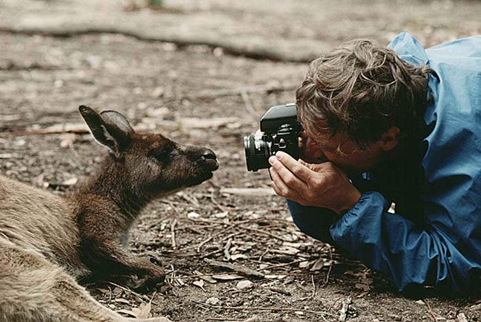 Travel and scenic, various, Australia and New Zealand.