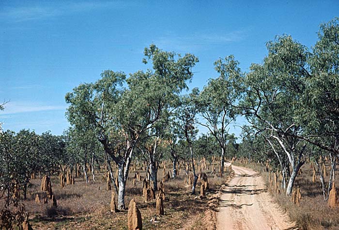 Travel and scenic, various, Australia and New Zealand.