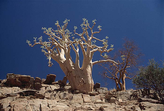Travel and scenic, various.