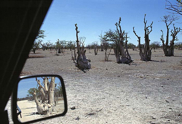Travel and scenic, various.