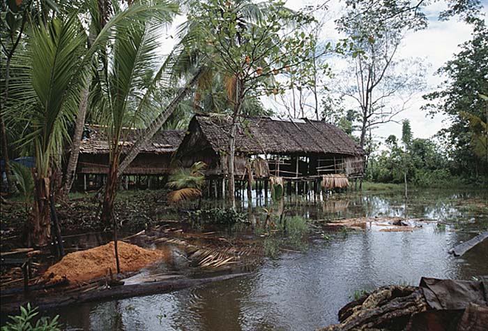 Papua New Guinea