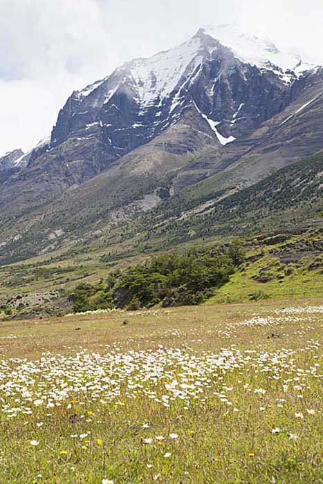 Travel in South America
