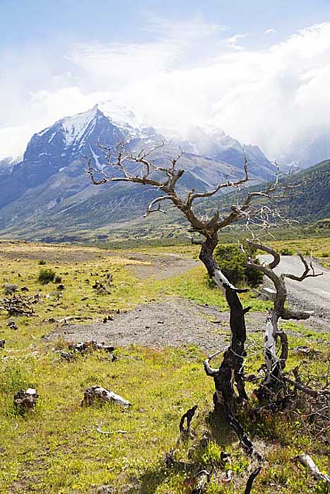 Travel in South America