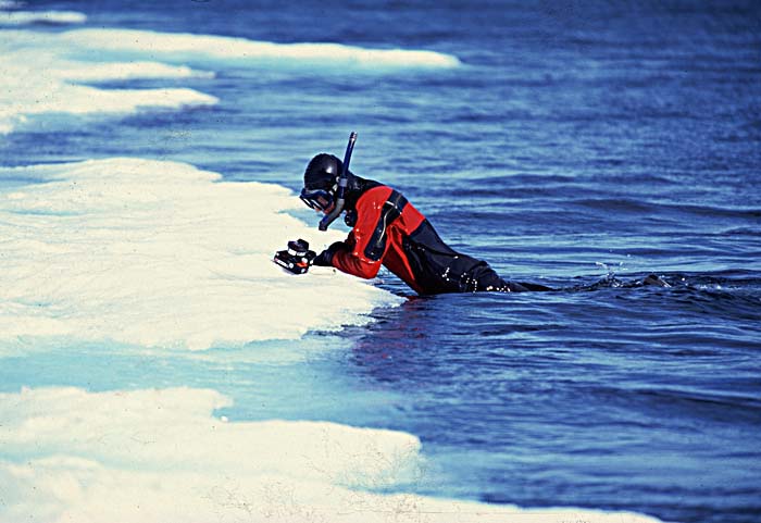 Diver