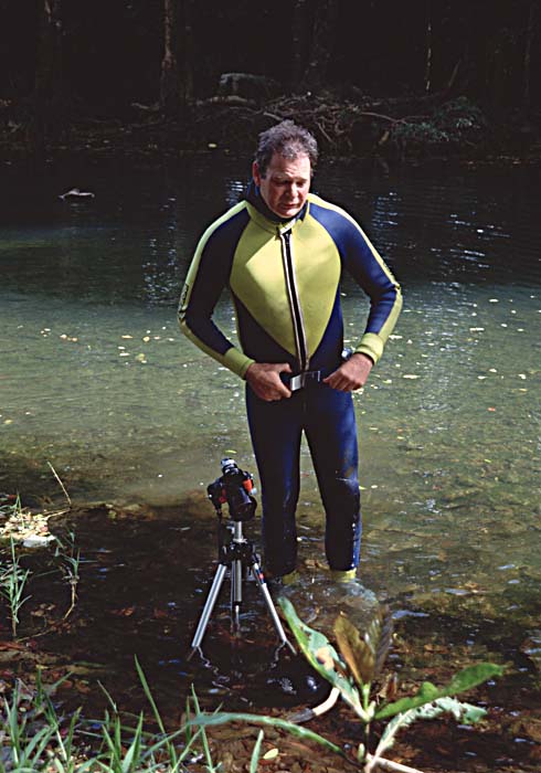 Diver