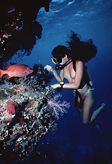 Diver